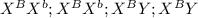 X^{B}X^{b} ; X^{B}X^{b}; X^{B}Y ; X^{B}Y