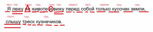 Синтаксический разбор предложения я лежу на животе и вижу пкред собой только кусочек змли , слышу тр