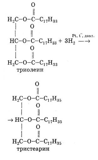 Написать уравнение реакции образования жира триолеина