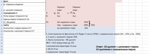 Укур нормальное оперение доминирует над шелковистым. от двух нормальных по фенотипу гетерозигот полу