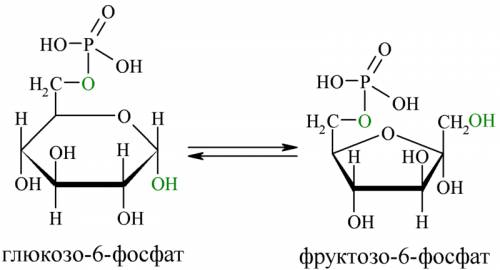 Уравнение образования фруктозо-6-фосфата