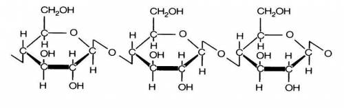 Укажіть, із залишків якого мономера макромолекули целюлози: а) альфа-глюкози б) бета-глюкози в) фрук