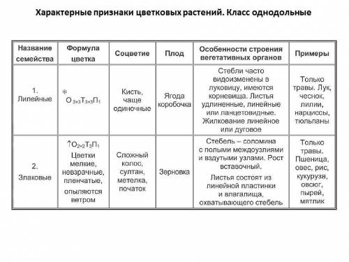 30 ! ,составьте таблицу по однодольным . заранее .