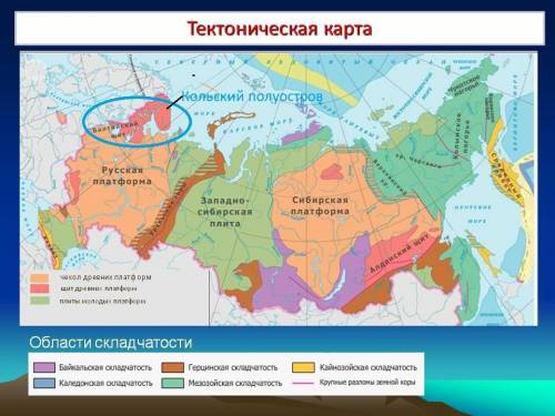 Какой полуостров россии находится на щите ? и как вы это поняли? а) камчатка б) кольский в) ямал г)