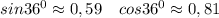 sin36^0\approx0,59\ \ \ cos36^0\approx0,81