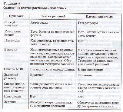 Сравнение клеток грубов, растений и животных