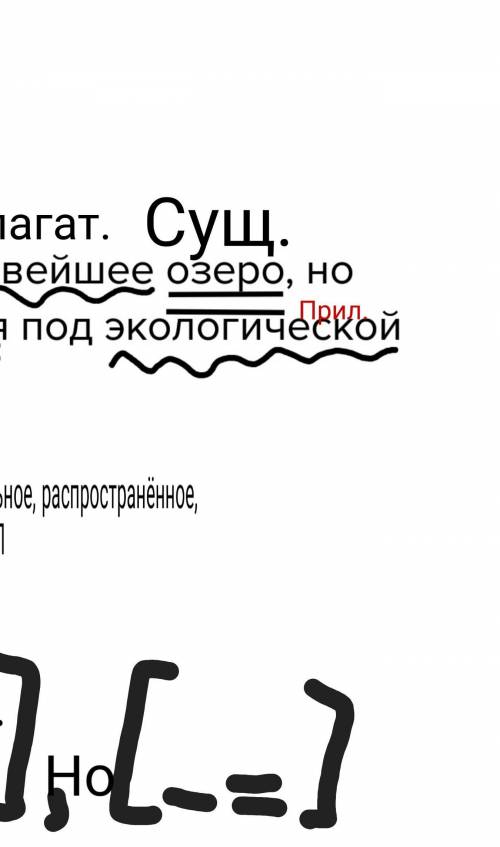 Красивейшее озеро, но оно находится под экологической угрозой.синтаксический разбор ​