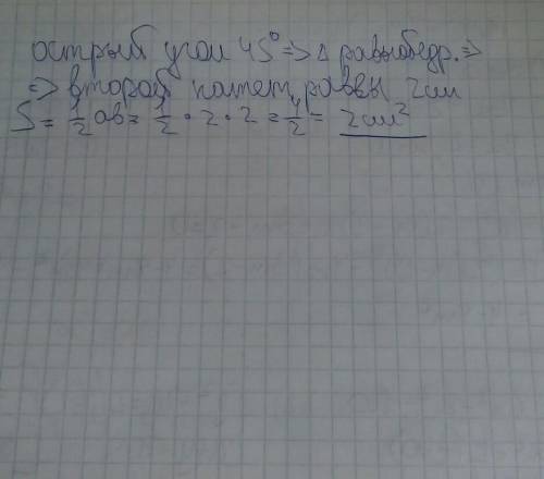 Найти площадь прямоугольного триугольника если один из его катетов =2 см , а острый угол 45°