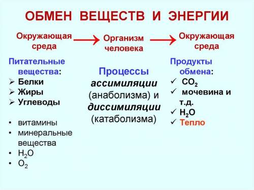 1. найдите верные утверждения: а) в растениях органические вещества движутся снизу вверх; б) растени