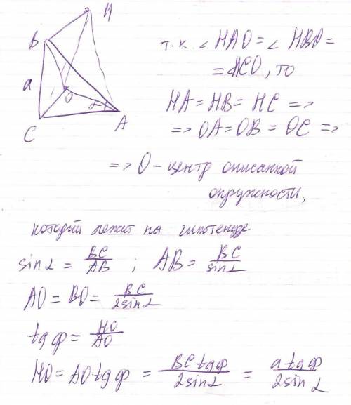 Основанием пирамиды служит прямоугольный треугольник с острым углом альфа и противолежащим катетом а