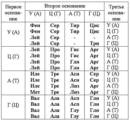 Последовательность нуклеотидов в начале гена, хранящего информацию о белке инсулине, начинается так: