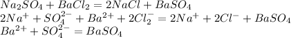 Na_2SO_4+BaCl_2=2NaCl+BaSO_4\\2Na^++SO_4^{2-}+Ba^{2+}+2Cl_2^-=2Na^++2Cl^-+BaSO_4\\Ba^{2+}+SO_4^{2-}=BaSO_4