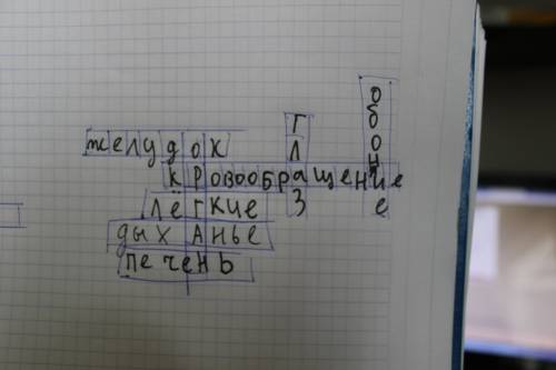 Составте красворд по биологии на 7-10 слов,на тему органы и системы органов.7 класс