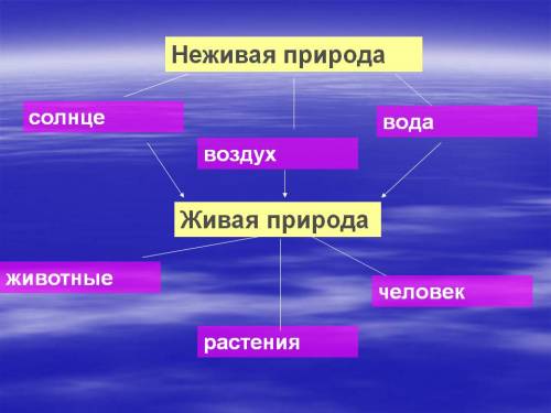 Мне нужны рисунки, фото на тему взаимосвязь в живой и неживой природе. если можно подкиньте сайт с к