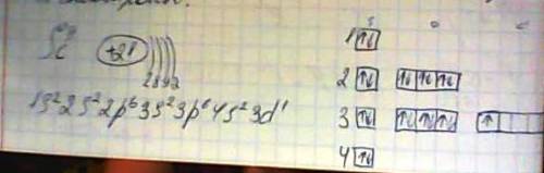 Как различают s, p, d, f элементы ? заранее !