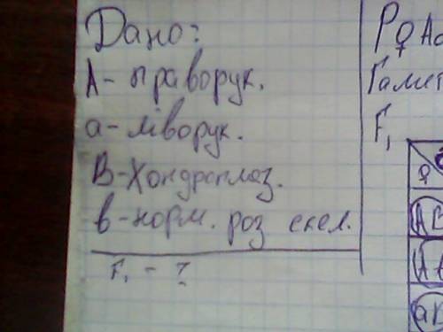 Іть зробити у людини праворукість домінує над ліворукістю, а хондроплазія над нормальним розвитком с