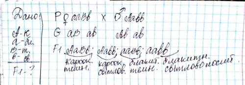 Улюдини ген кароокості є домінантним,а ген блакитних очей - рецесивним.темноволоса короока жінка вий