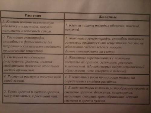 Сравни строение растительной и животной клетки