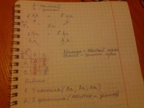 Угороха ген желтого цвета семян доминантный, а ген зеленого цвета - рецессивный. растение, выросшая