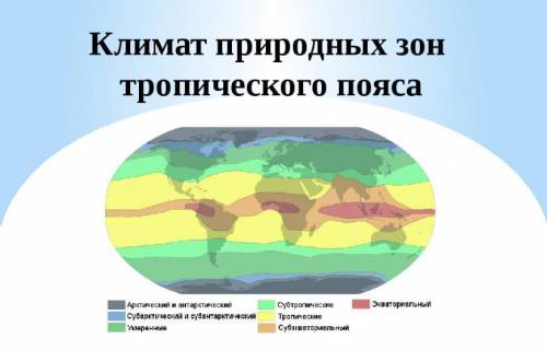 Какая погода преобладает в тропическом поясе?