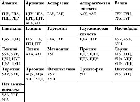 Дана полипиптидная цепь: ала тре лиз асп и-рнк: надо построит цепь и-рнк, 9 класс.