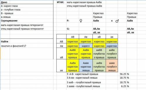 Улюдини карий колір очей домінує над блакитним, а здатність краще володіти правою рукою- над лівою.