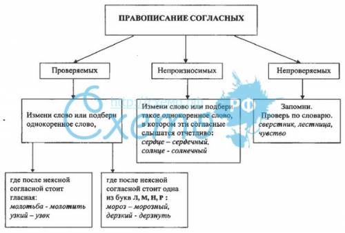 Составте таблицу орфограммы - согласные буквы в корне ! !