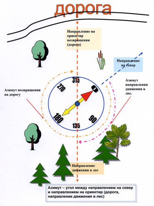 Ориентирование на местности по компасу