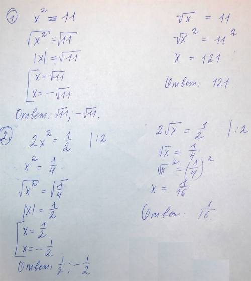 Решите уравнение 1. x^2=11 и корень x=11 2.2x^2=одной второй и 2*корень из x=одной второй