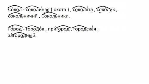 Выдели корень. поставь ударение. подчеркни буквы безударных гласных и проверочные слова. сокол - сок