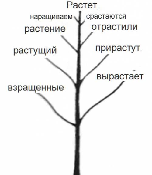 Попробуй сомастоятельно нарисовать в виде дерева 8 однокореных слов