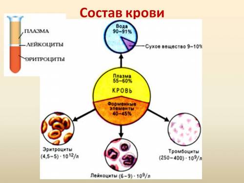 Тема: кровь и остальные компоненты внутренней среды 1.составьте схему: состав внутренней среды челов