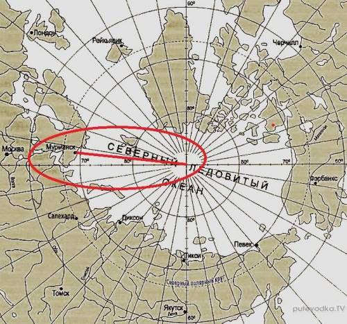 Расстояние от мурманска до северного полюса