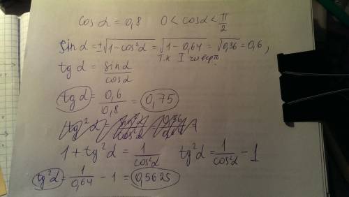 Вычислите: известно,что cos α =0,8 , причем угол α оканчивается в первой четверти. найти tg α и tg2