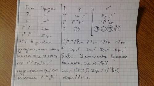 Отец семейства (его мать была rh-, 1группа) rh+, 3 группа, мать rh- 1 группа. какие возможны вариант