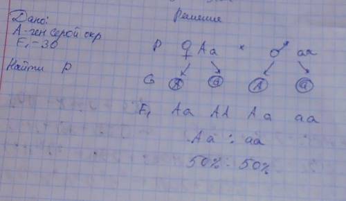 При сокращении серых и черных мышей получили 30 потомков,среди которых 14 черные. известно что серая