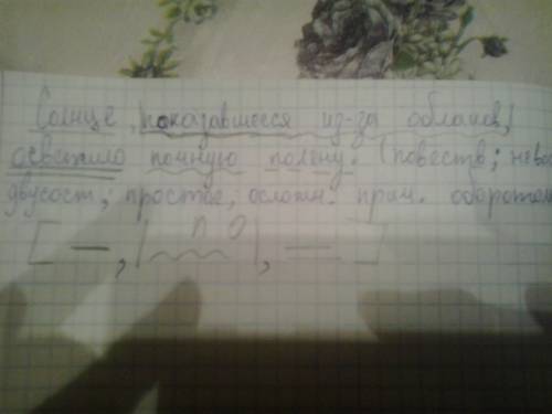 Выполните синтаксический разбор предложения : солнце , показавшееся из-за облаков , осветило ночную