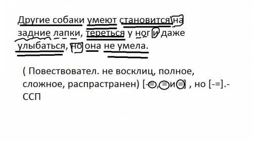 Синтаксический разбор. другие собаки умеют становится на задние лапки, тереться у ног и даже улыбать