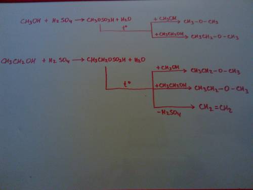 Какие вещества образуются при нагревании с серной кислотой смеси из этилового и метилового спиртов?