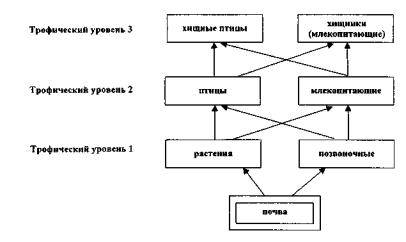 Составить 2 любые цепочки по животным и растениям,слова: животные,позвоночные,беспозвоночные,растени