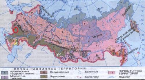 Вкаком из перечисленных регионов россии почвы наибольшим естественным плодородием? 1) республика ком