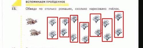 Обведи по столько ромашек, сколько нарисовано 2, ромашек