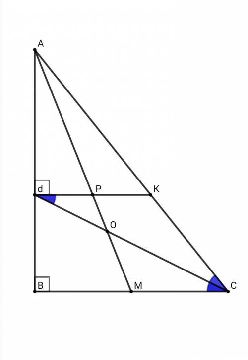 Впрямоугольном треугольнике авс ас - гипотенуза. медиана ам пересекает биссектрису cк в точке о. най