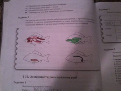 Биология 7 класс суматохин. 2 часть. с 12 №5 (расскрасте внутренние органы напишите их названия) мно