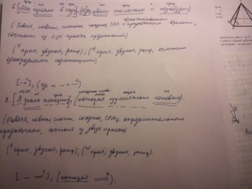 Разберите предложение подл. сказ. и так 1.мы гуляли в саду где цвели тюльпаны и незабудки. 2 . я зна