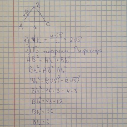 Треугольник авс равносторонний со стороной 4√3.найдите высоту сн