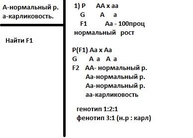 Сбиологией: 1. у овса нормальный рост доминирует над карликовостью (низкостебельностью). какими буду