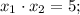 x_1\cdot x_2=5;