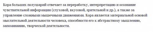 Охарактеризуйте функции: продолговатого мозга, среднего мозга, мост, мозжечок, промежуточный мозг и