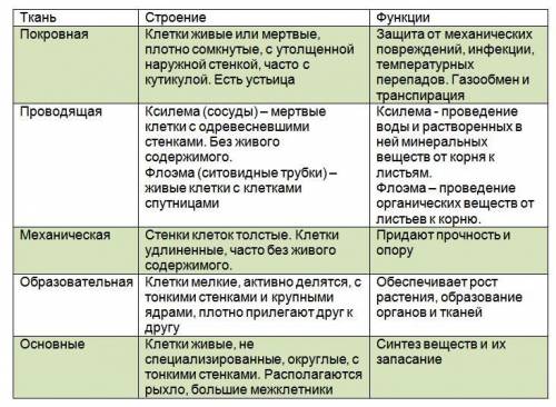 Образовательная ткань, покровная ткань проводящая ткань, фотосинтезирующая ткань ,механическая ткань